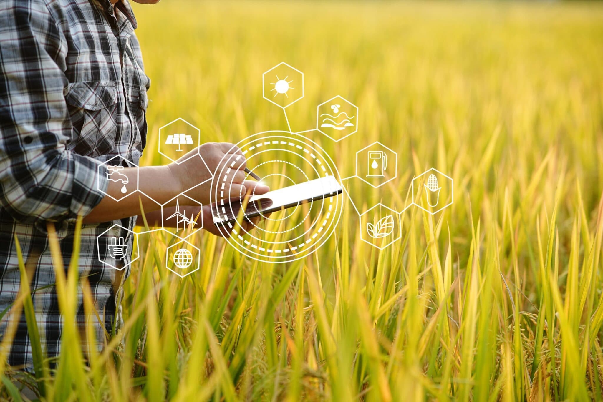 O Papel da IoT para a eficiência no agronegócio