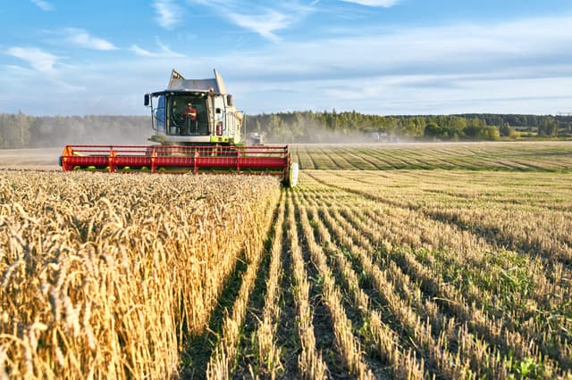 Parceria Virtueyes IoT e Jacto